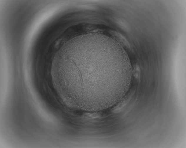 X0000112170763200908071158