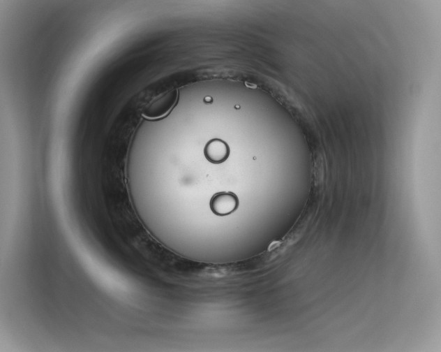 X0000112170764200908071158