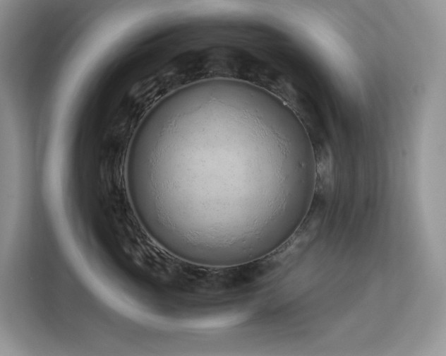 X0000112170765200908071158