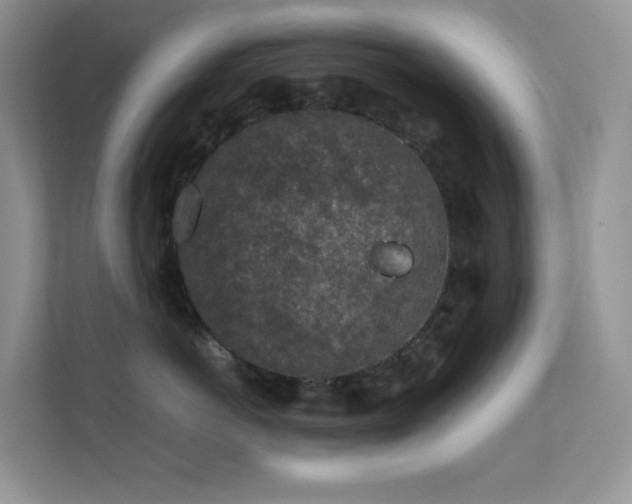 X0000112170766200908071158