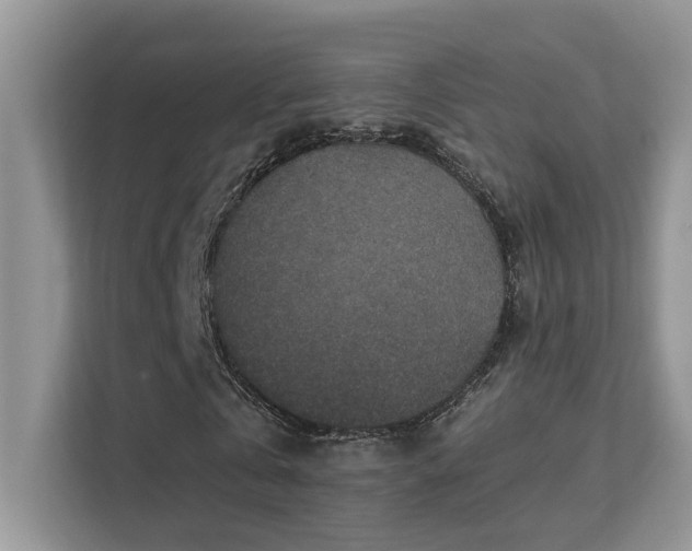 X0000112170769200908071157