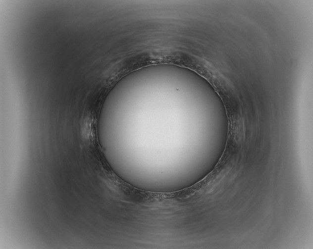 X0000112170770200908071157