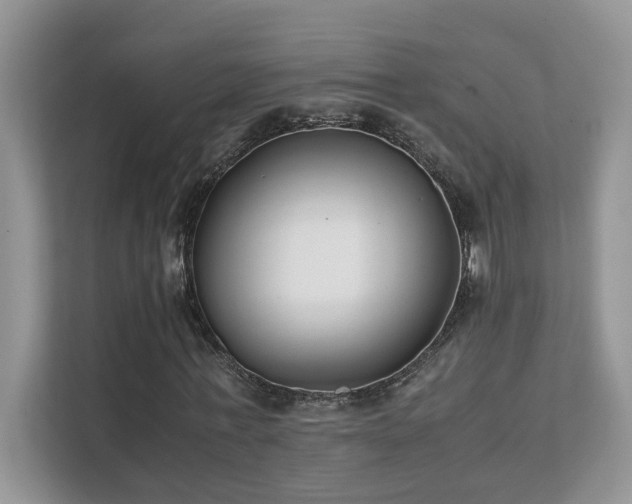 X0000112170771200908071157