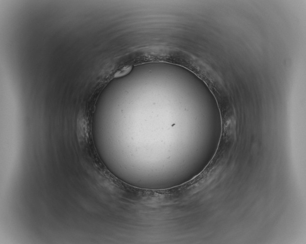 X0000112170772200908071157