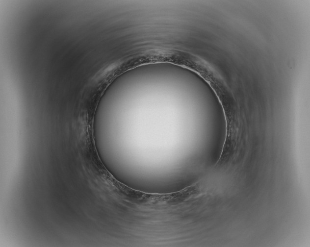 X0000112170773200908071157