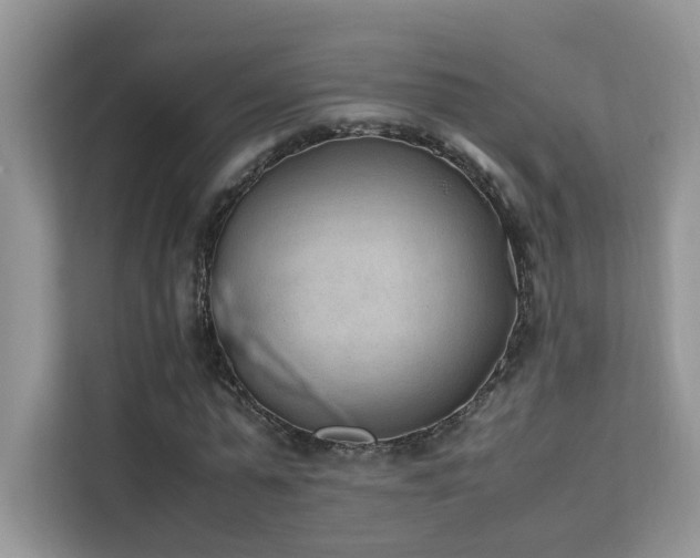 X0000112170775200908071157