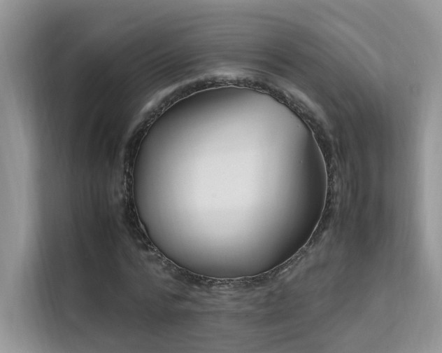 X0000112170776200908071157