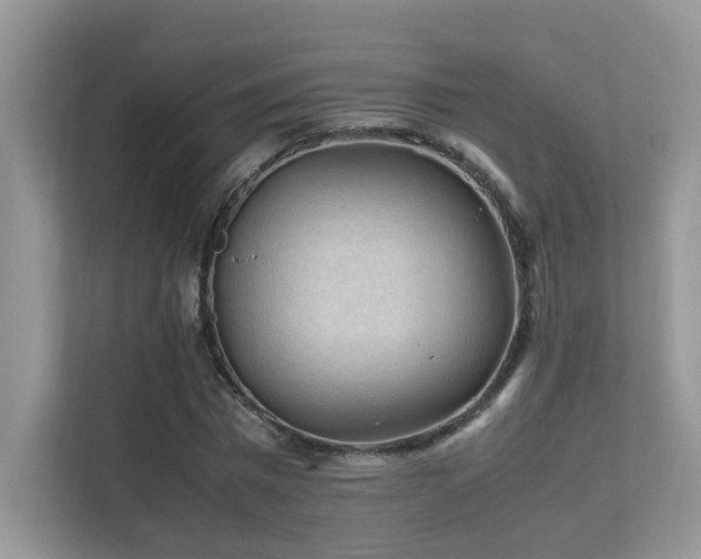 X0000112170777200908071157