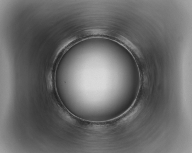 X0000112170782200908071157