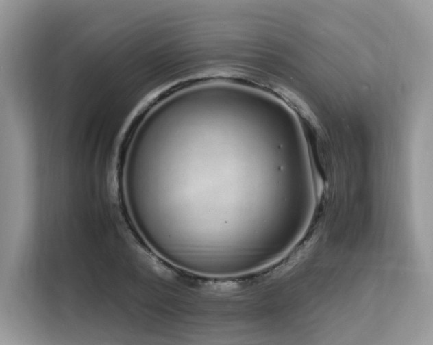 X0000112170784200908071157