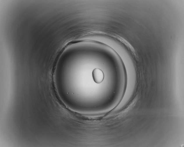 X0000112170785200908071157