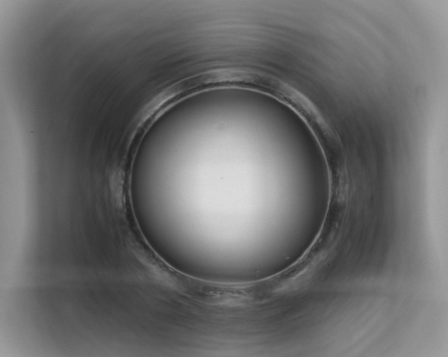 X0000112170786200908071157