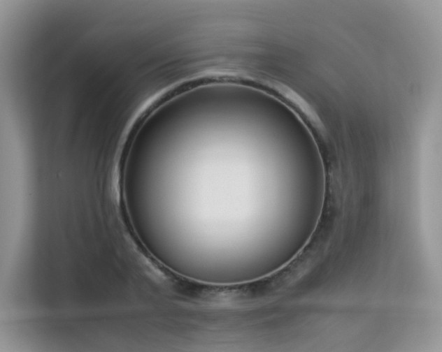 X0000112170791200908071157