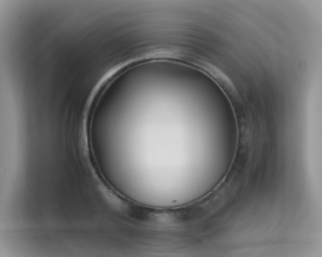 X0000112170792200908071157