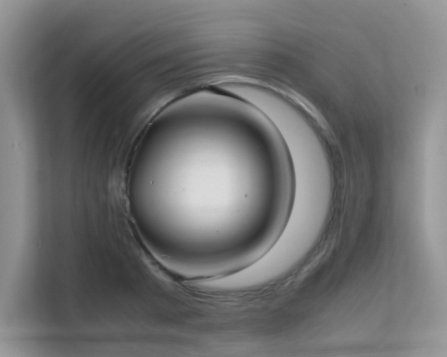 X0000112170793200908071157