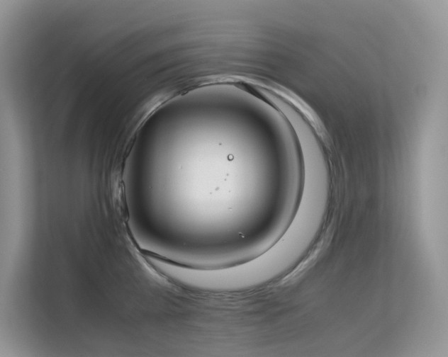 X0000112170809200908071157