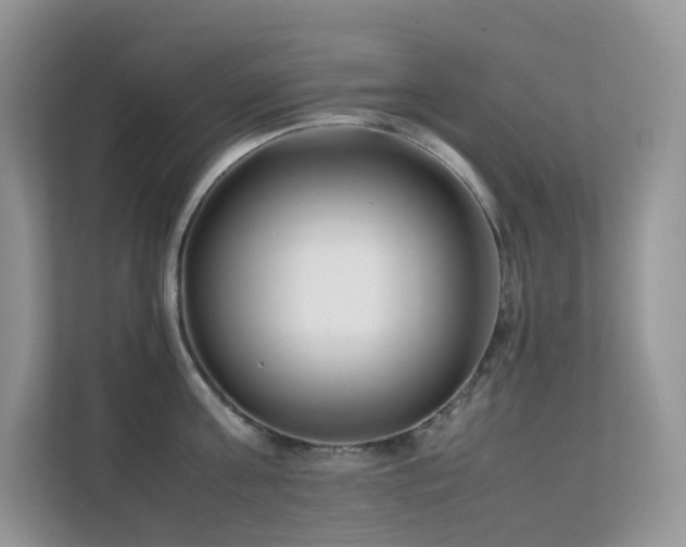 X0000112170811200908071157