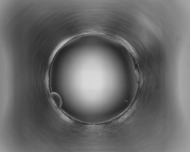 X0000112170812200908071157