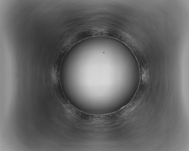 X0000112170819200908071156