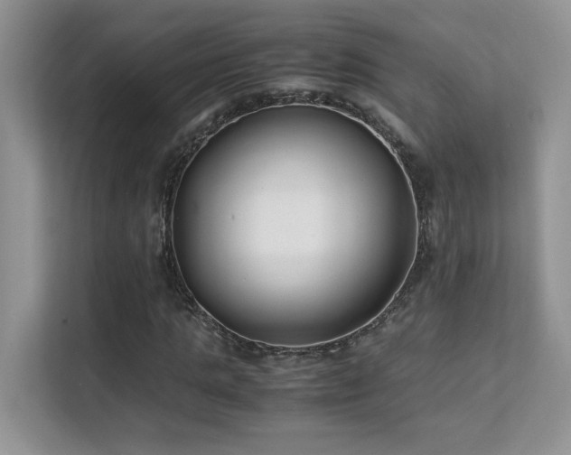 X0000112170821200908071156