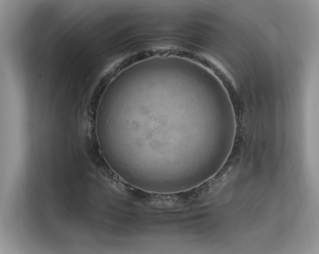 X0000112170823200908071156