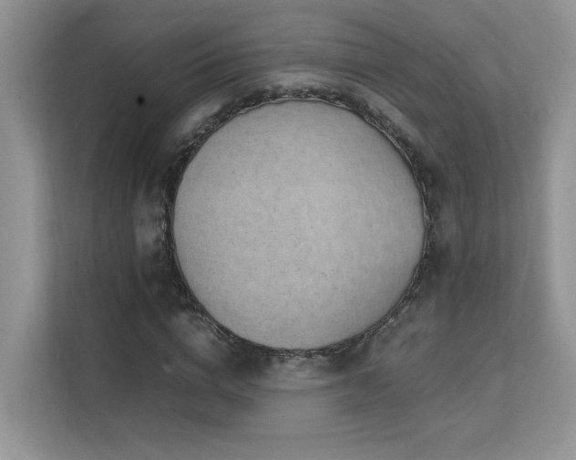 X0000112170824200908071156