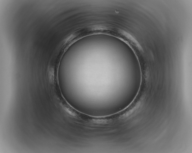 X0000112170825200908071156