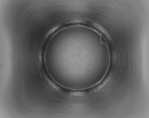 X0000112170826200908071156