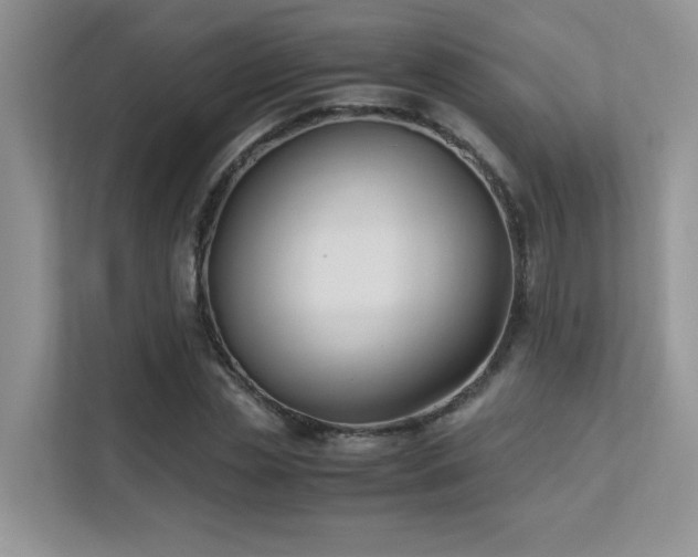 X0000112170829200908071156