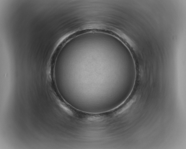 X0000112170830200908071156