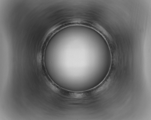 X0000112170831200908071156