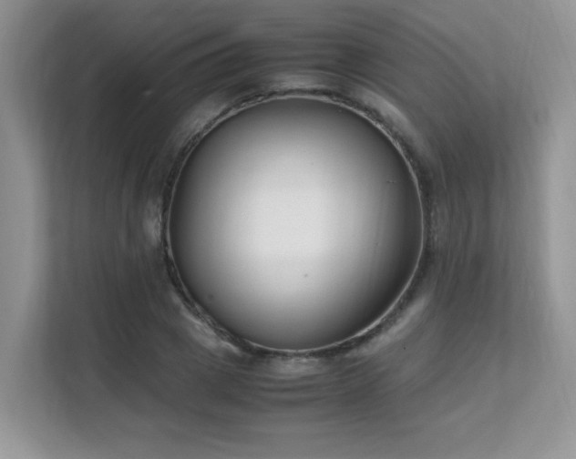 X0000112170833200908071156