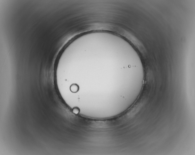 X0000112170836200908071156