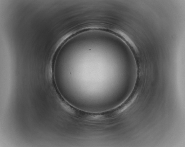 X0000112170837200908071156