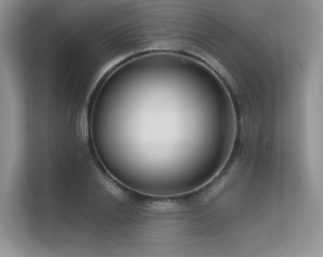 X0000112170838200908071156