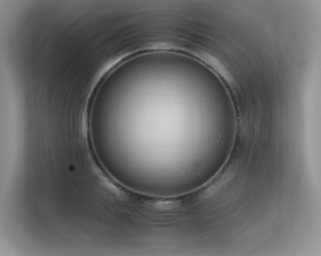 X0000112170839200908071156