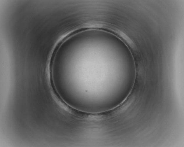 X0000112170840200908071156