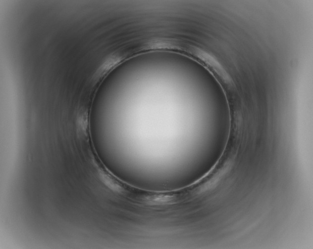 X0000112170841200908071156