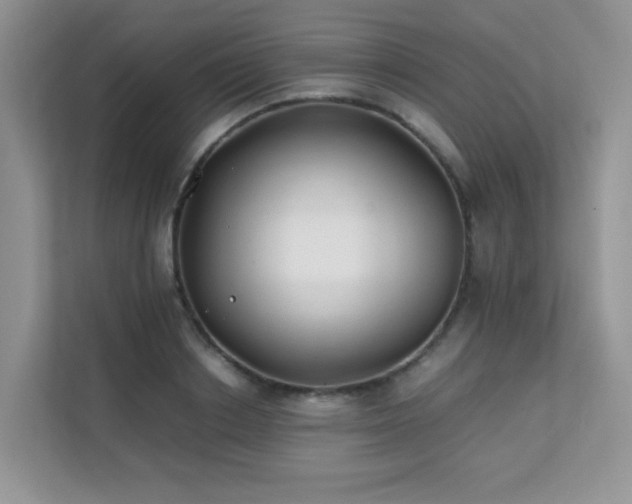 X0000112170842200908071156