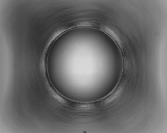 X0000112170843200908071156