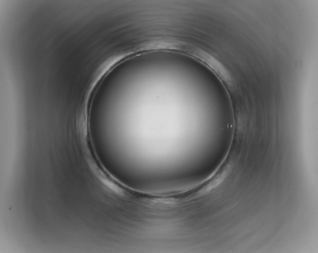 X0000112170844200908071156