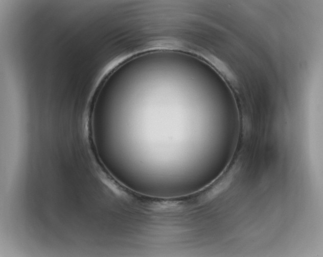 X0000112170846200908071157