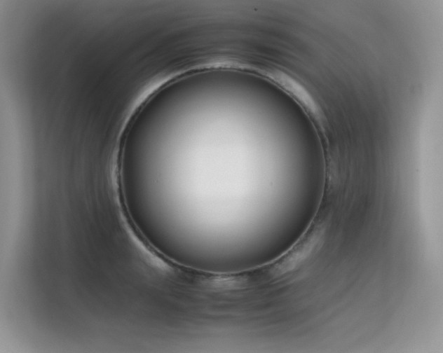 X0000112170847200908071157