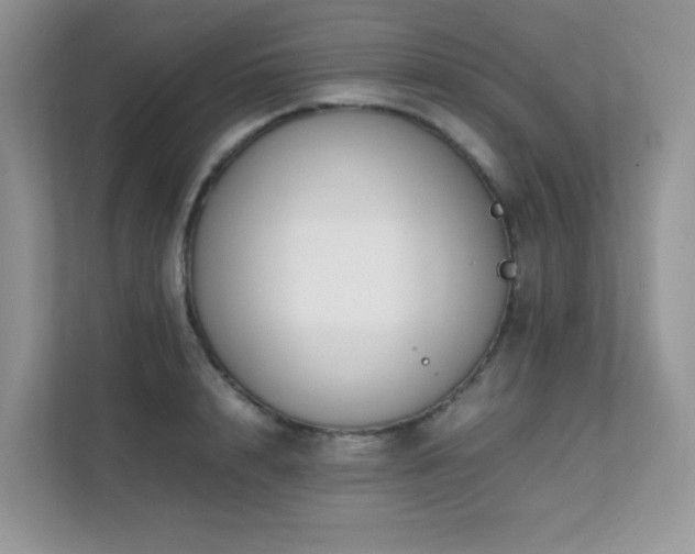 X0000112170848200908071157