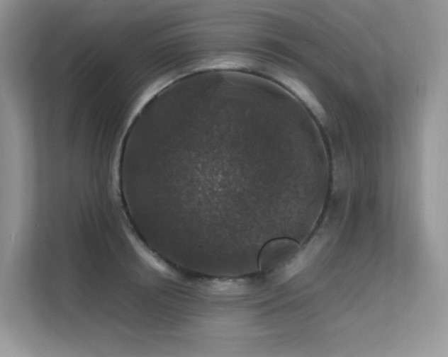 X0000112170850200908071157