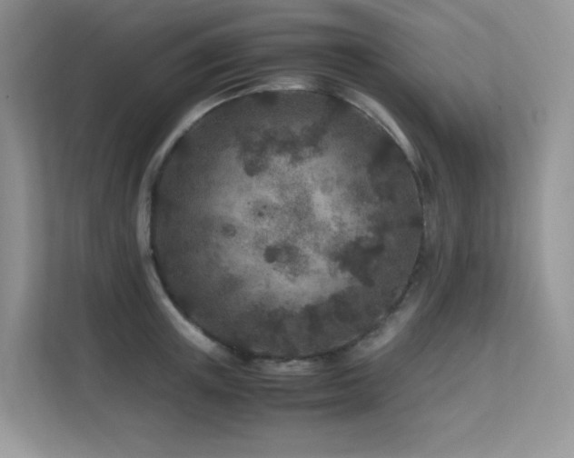 X0000112170851200908071157