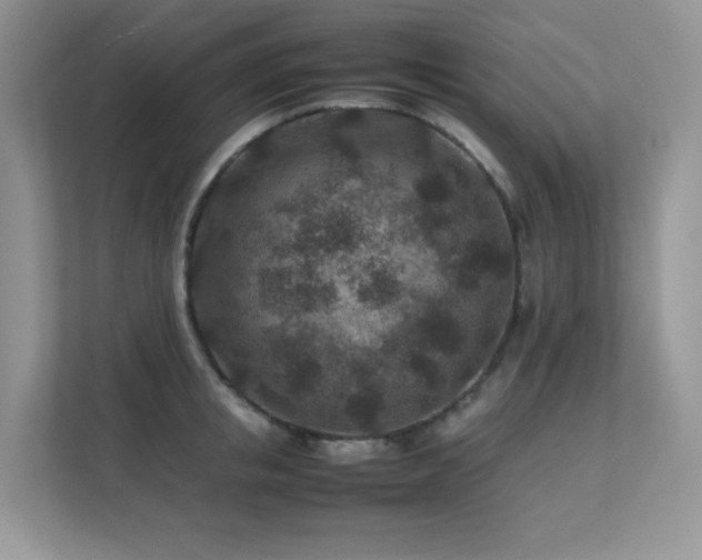 X0000112170853200908071157