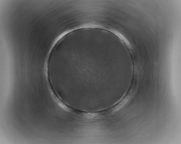 X0000112170854200908071157