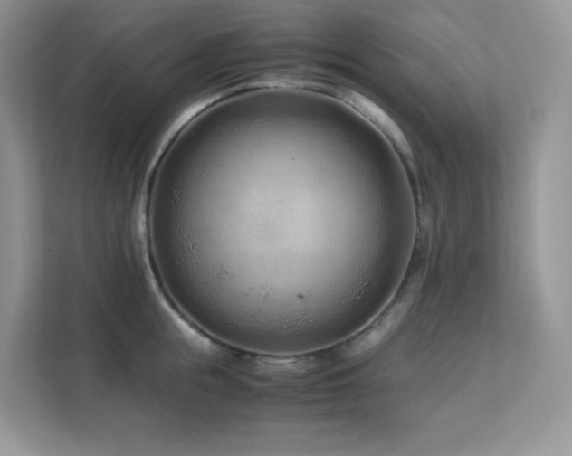 X0000112170855200908071157