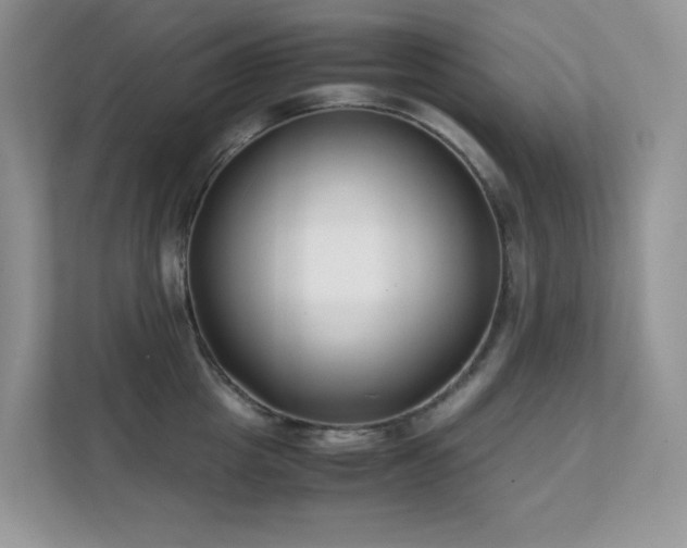 X0000112170857200908071157